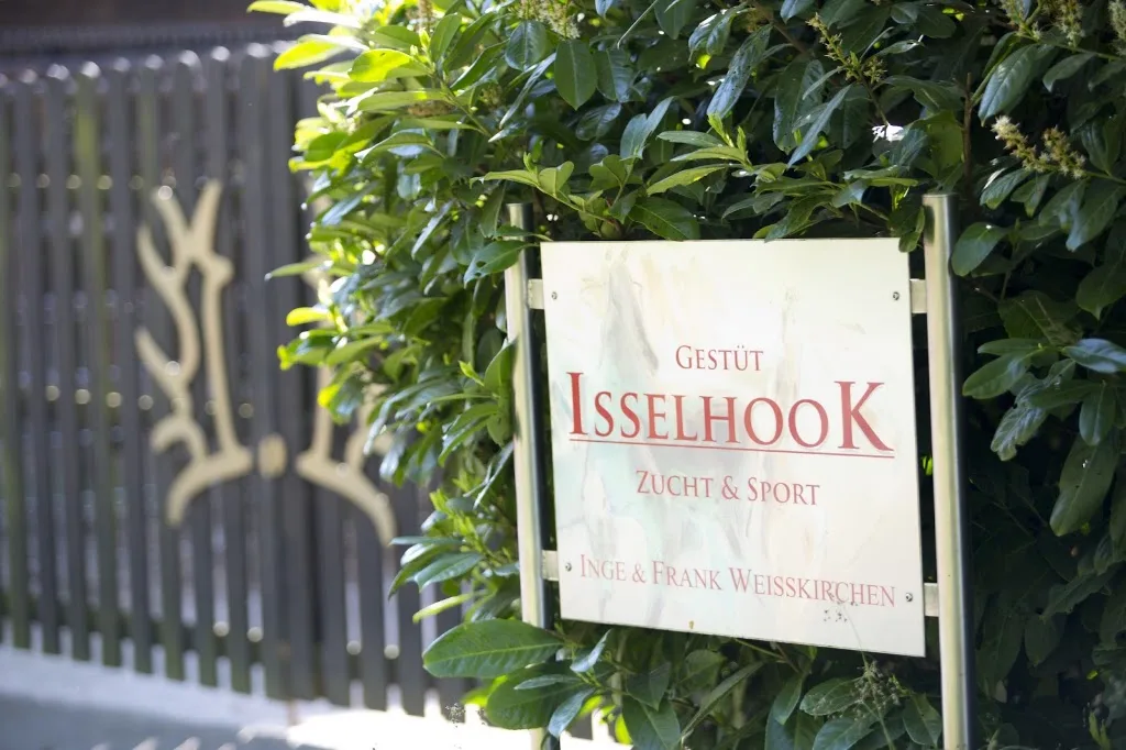 Camarguegestüt du Issel - Foto 1
