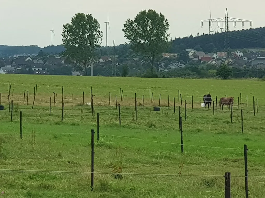 Hubertushof - Foto 2