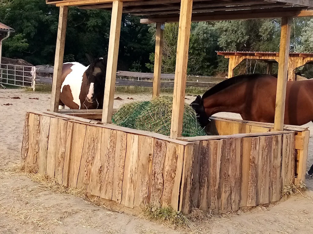 Reitanlage Gut Göritz - photo 1
