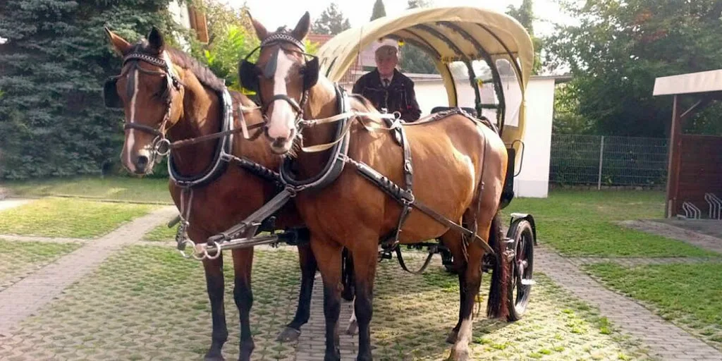 Reitanlage Gut Göritz - photo 3
