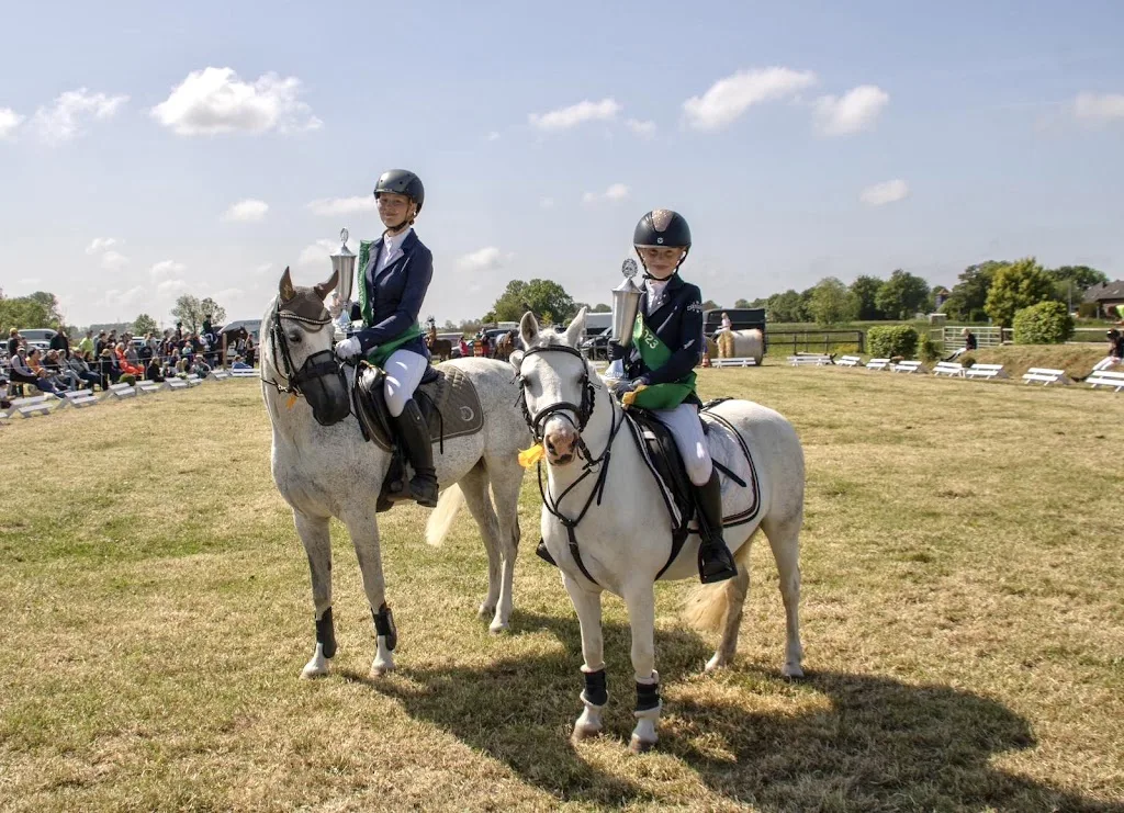 Reitstall Matthies (Pensionsstall) - Foto 3