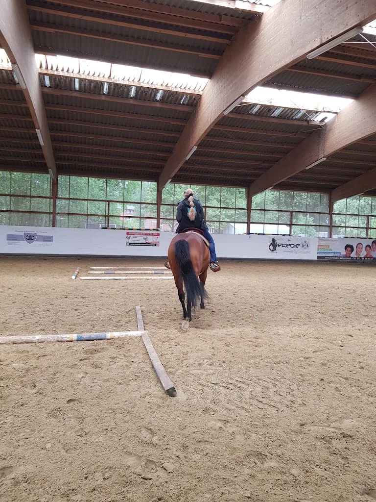 Horse Company - Foto 1