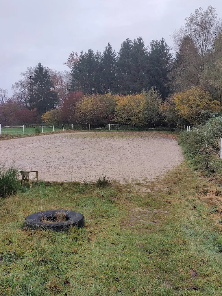 Rolandshof - photo 3