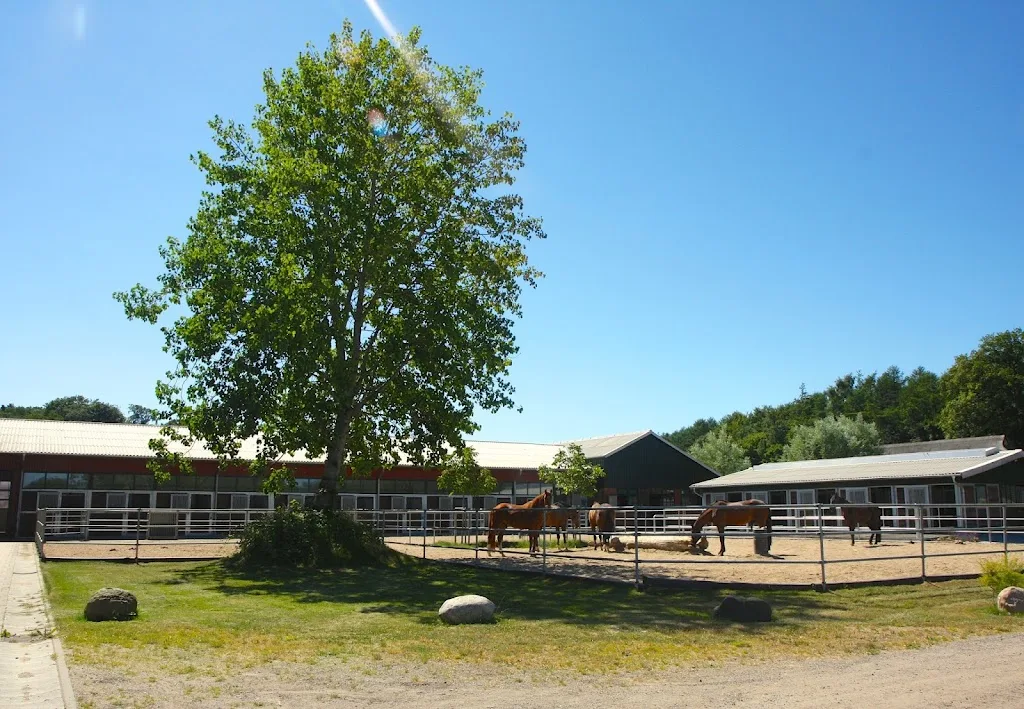 Ziegeleihof - photo 1