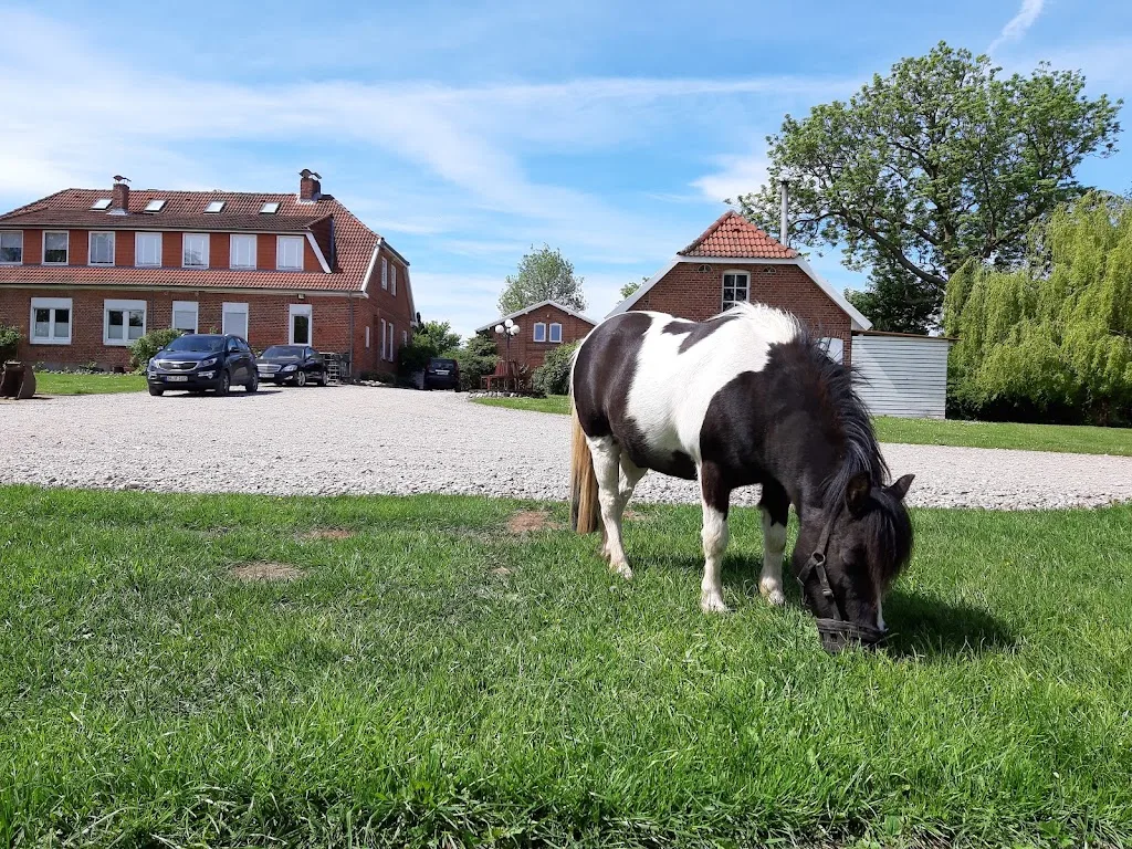 Ziegeleihof - photo 3