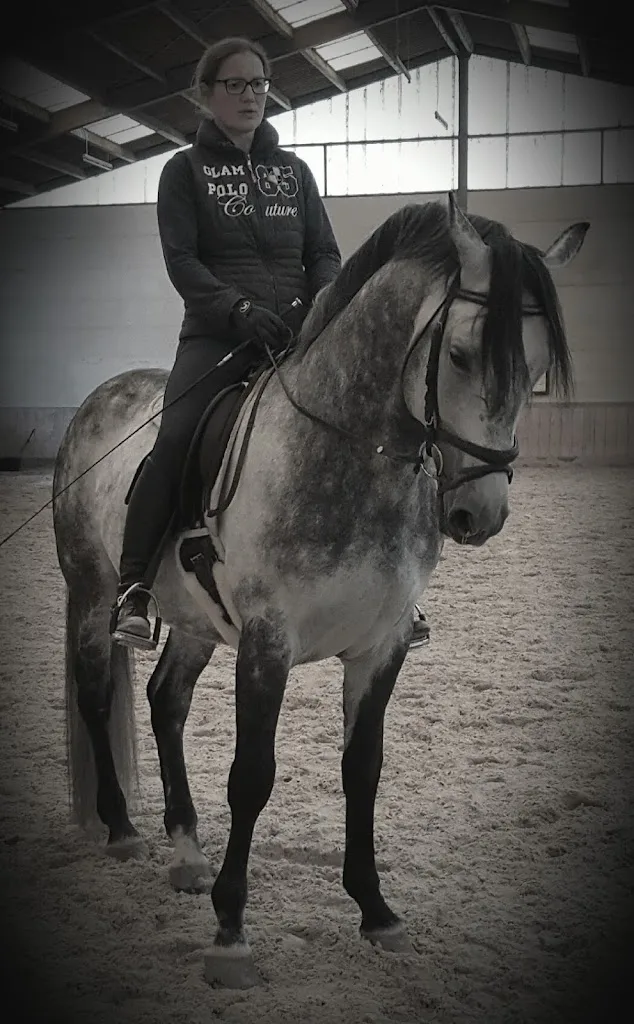 Reitstall Petra Egalite - Foto 1