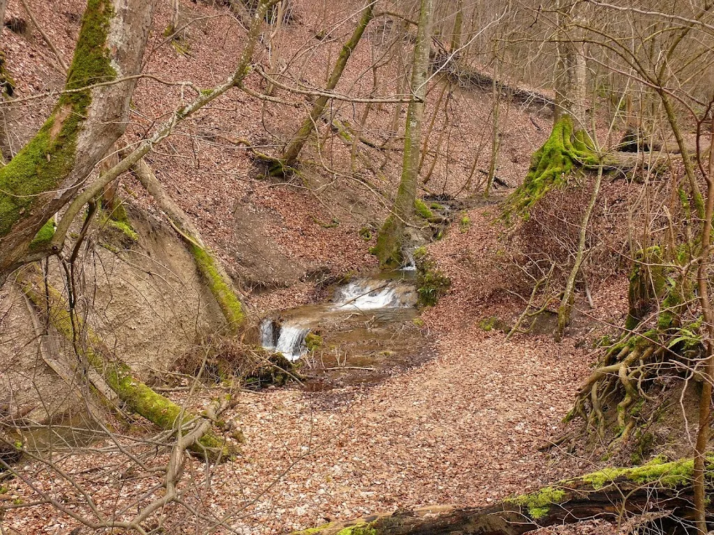 Der Lerchenhof - Foto 2