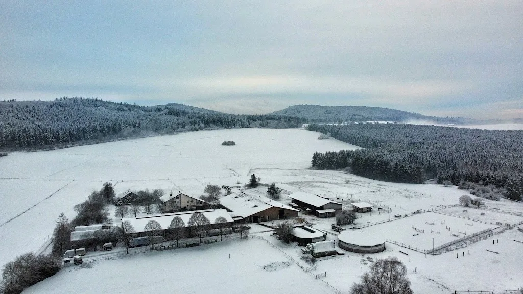 Der Lerchenhof - Foto 3