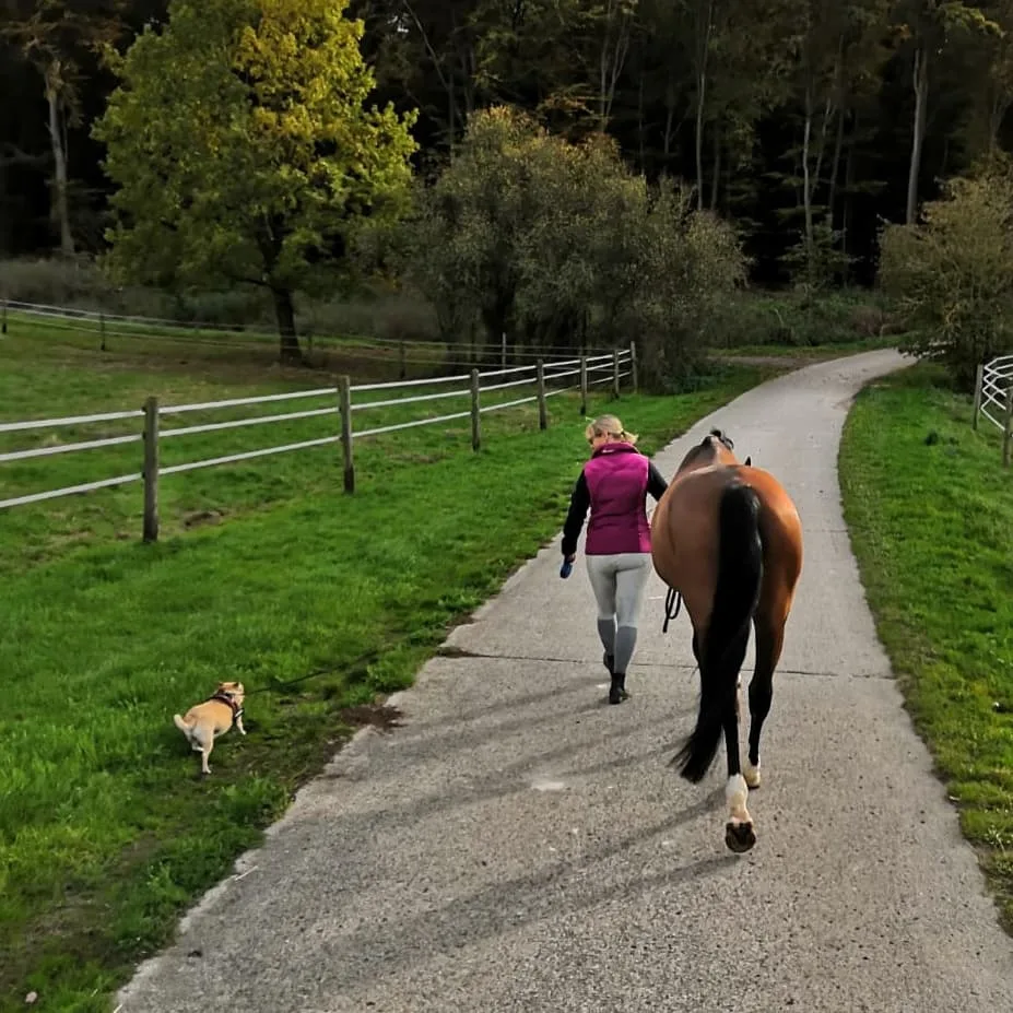 Reittherapie Mittelhessen - photo 2