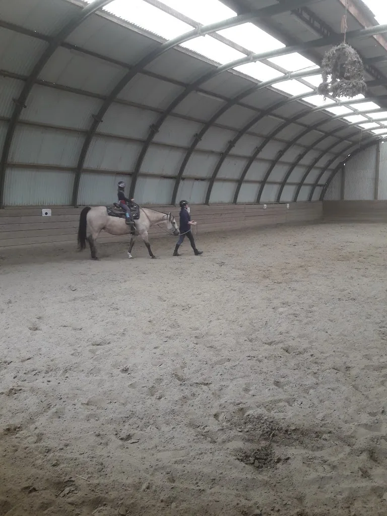 Bucking Horse Stable - photo 1