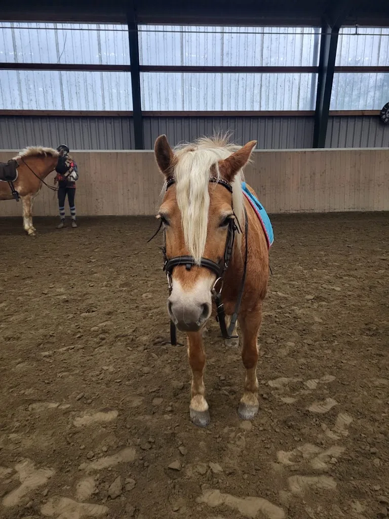 Bucking Horse Stable - photo 2