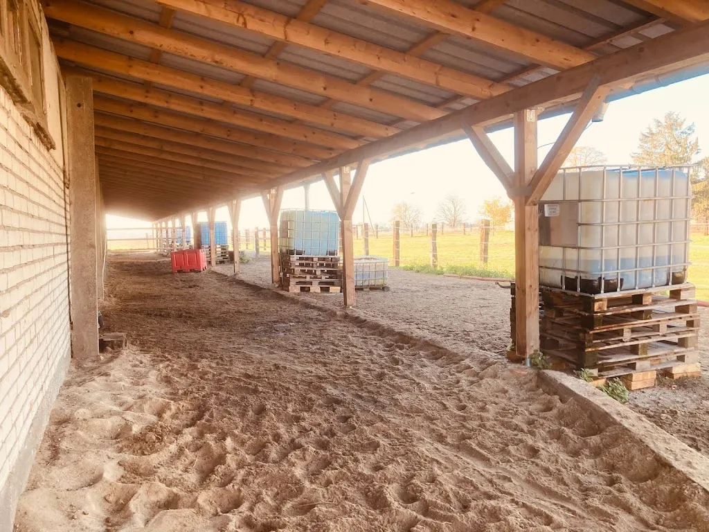 Pferdehof Hertha - photo 2