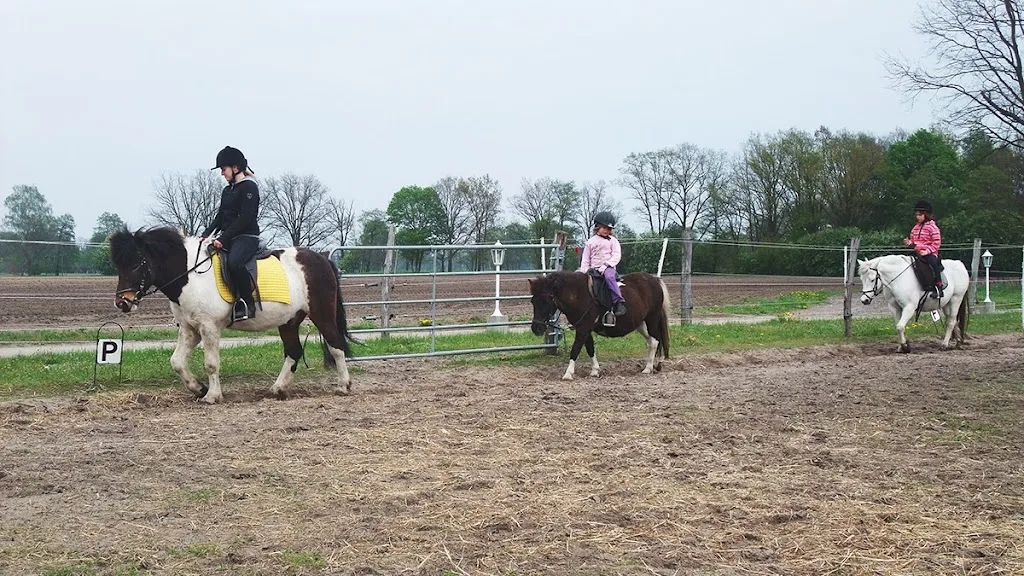 Ponylino.de - Kinderreiten - Foto 1