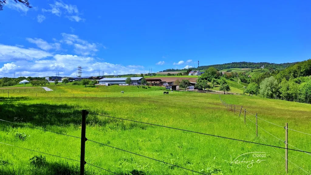 Grossmatthof - Foto 2