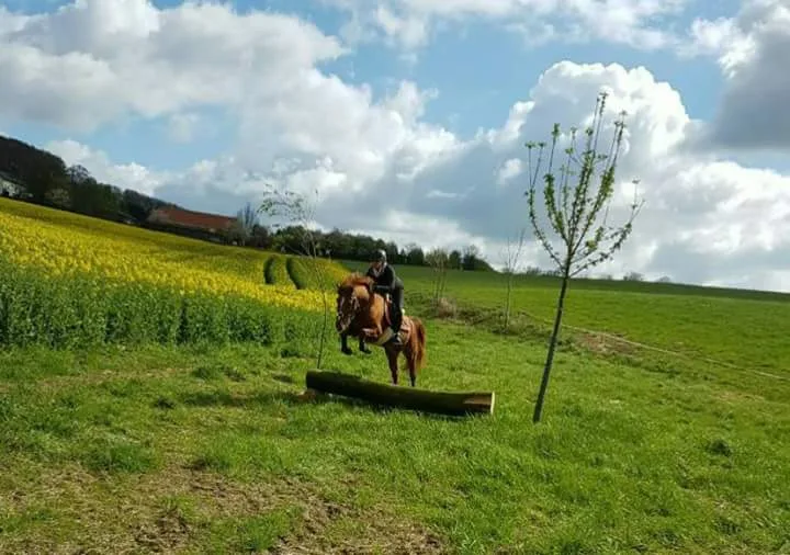 Uwe Meyer zu Reckendorf - Foto 1