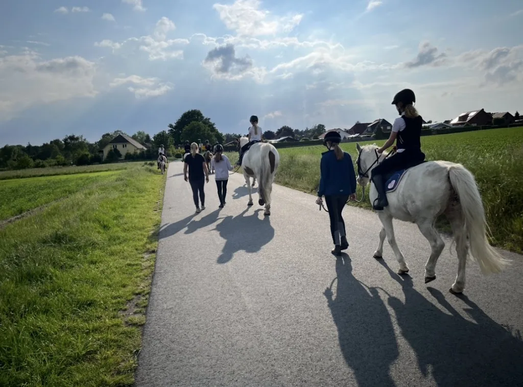 Reitponygestüt - photo 1