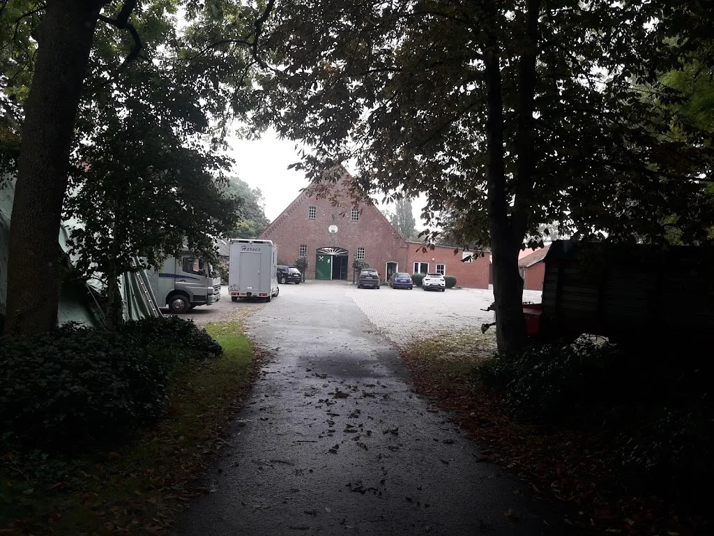 Reitponygestüt - photo 3