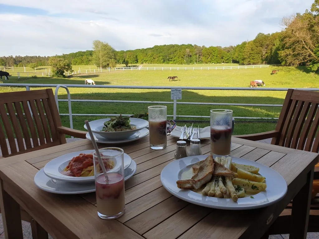 Gut Sarnow - Event- und Hochzeitslocation, Tagungshotel und Restaurant - photo 3