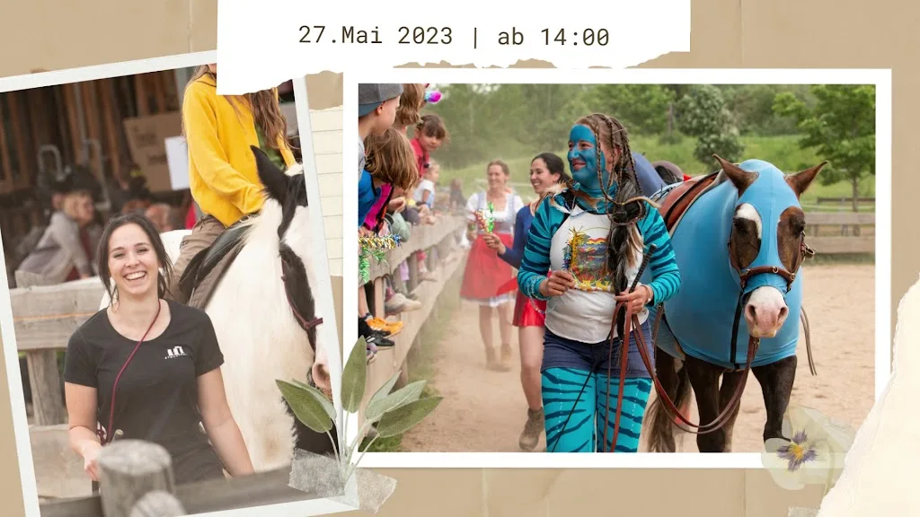 Jelle Gust – Reitkunst für Pferd und Mensch - Foto 2