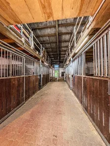 Reitanlage Niedermeien - photo 1