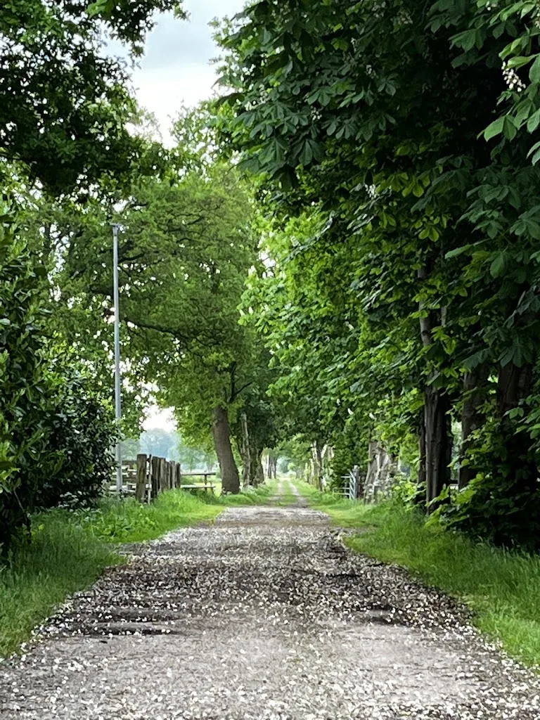 Hof an der Moorweide - Foto 1