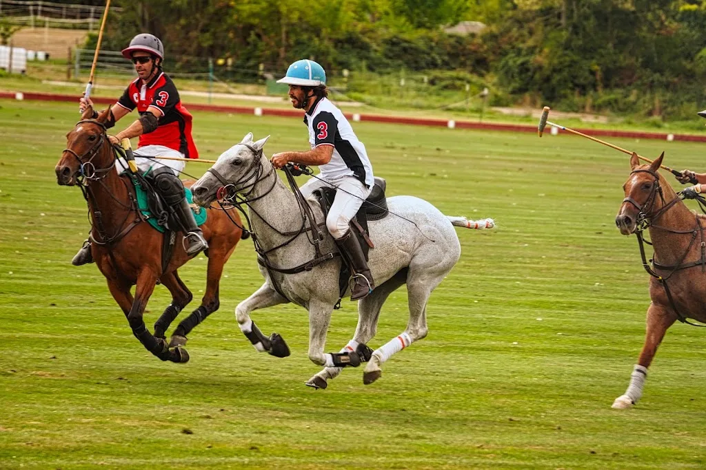 Frankfurter Polo- und Pferdesportzentrum GmbH - Foto 2