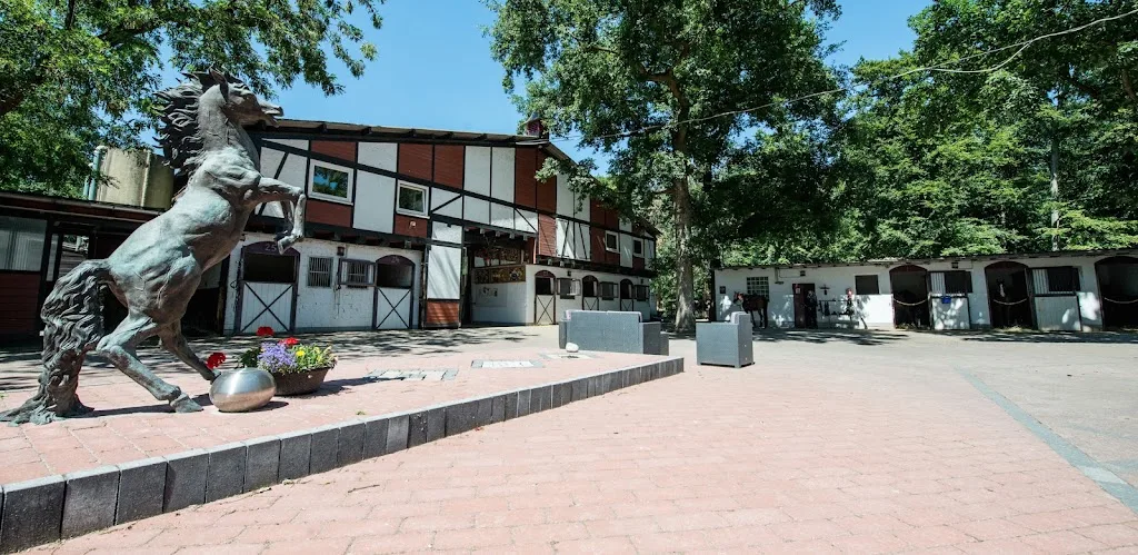 Frankfurter Polo- und Pferdesportzentrum GmbH - Foto 3