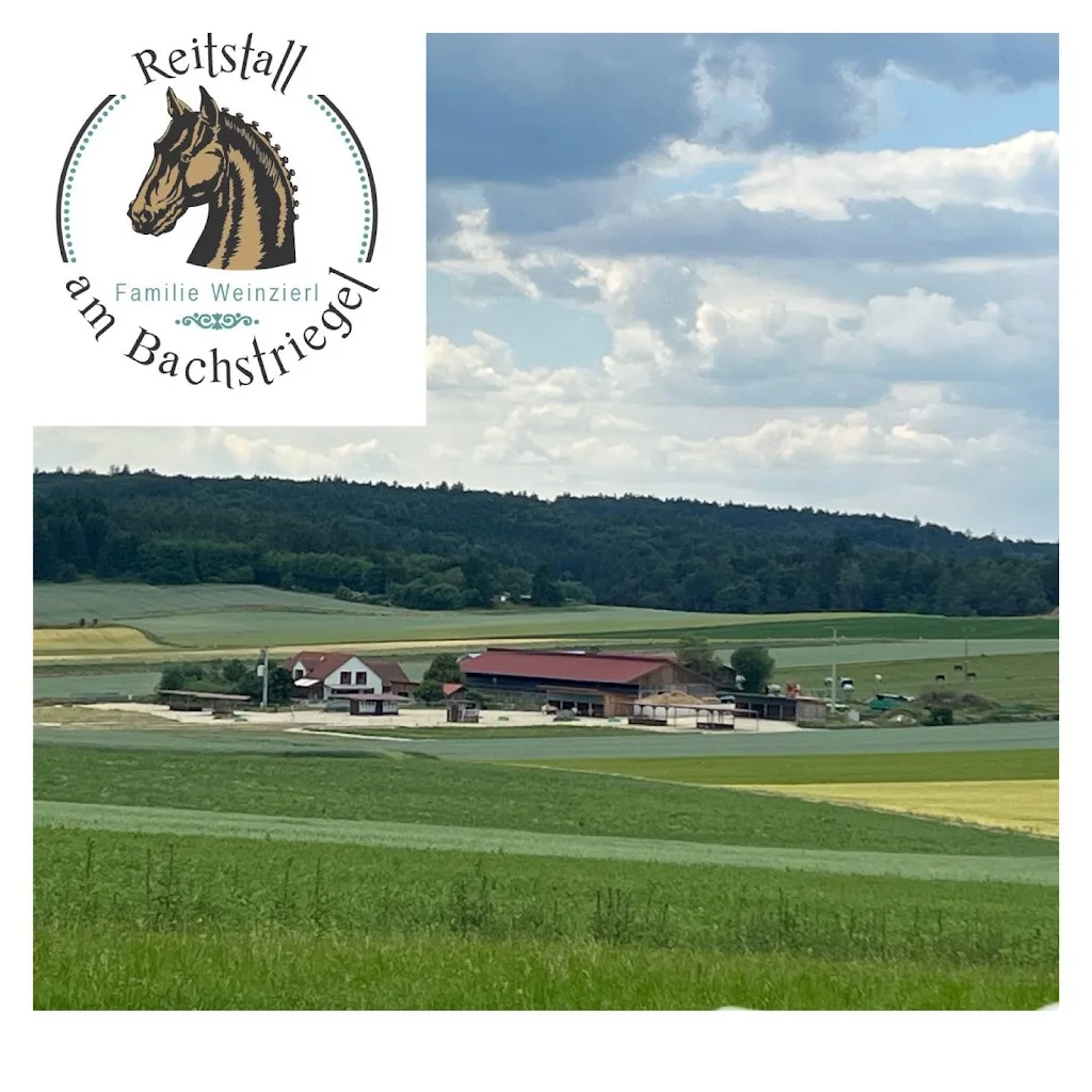 Reittherapie Eichstätt - Foto 3