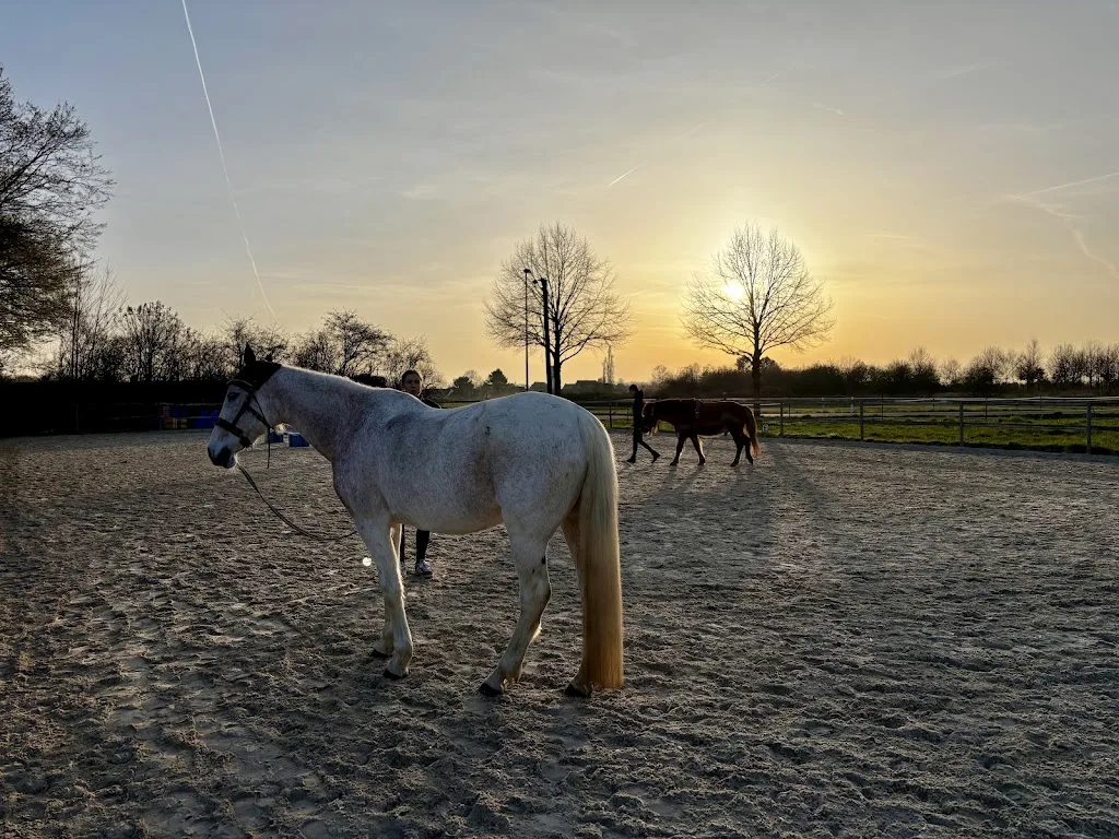 Reitsportgemeinschaft Nierst e.V. - Foto 1