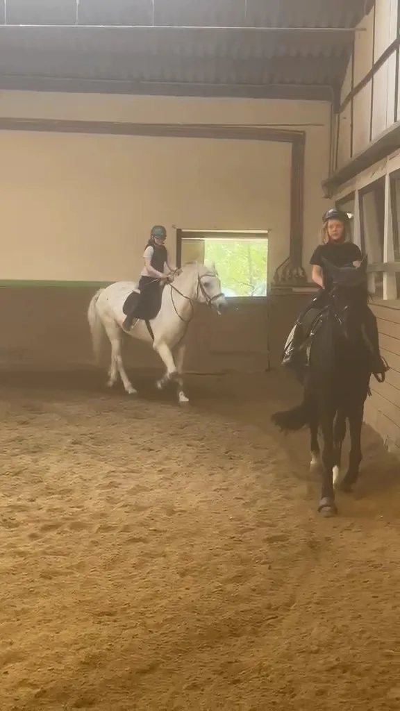 Reitsportanlage Hegehof, Bertram und Schmidt GmbH & Co. KG - Foto 3
