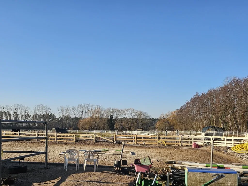 Pferdesportverein Rangsdorf e.V. - Foto 1