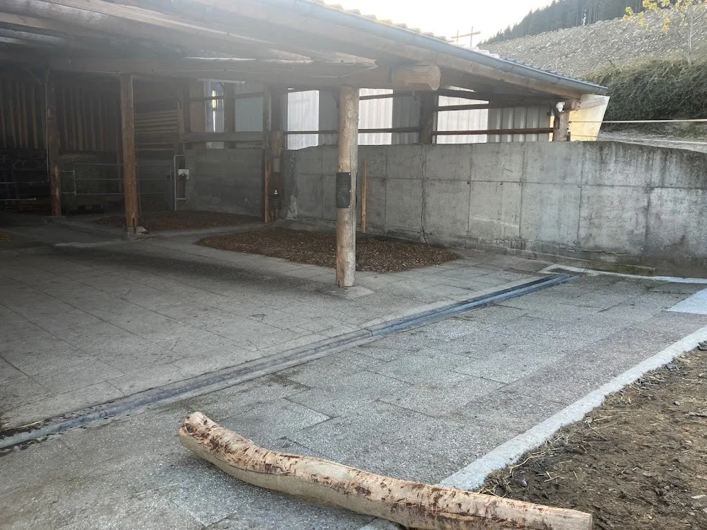 SAUERLAND CRIOLLOS - Foto 1