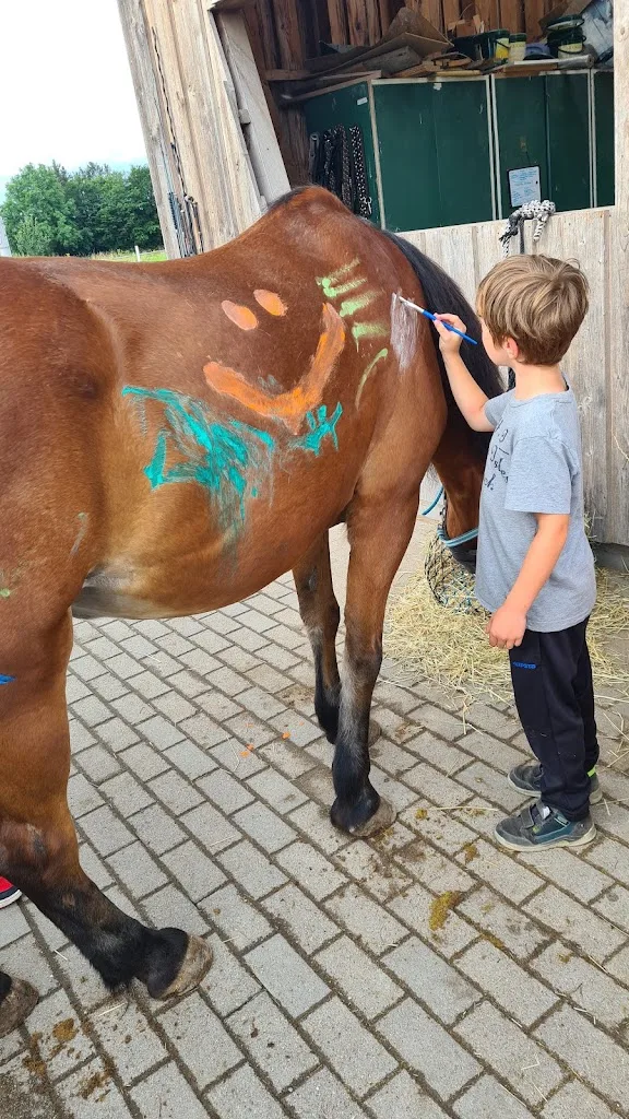 equitherapie-lacroix - Foto 2