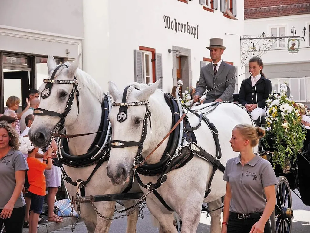 Pferde-Reha und Hufgesundheit Nordries - photo 1