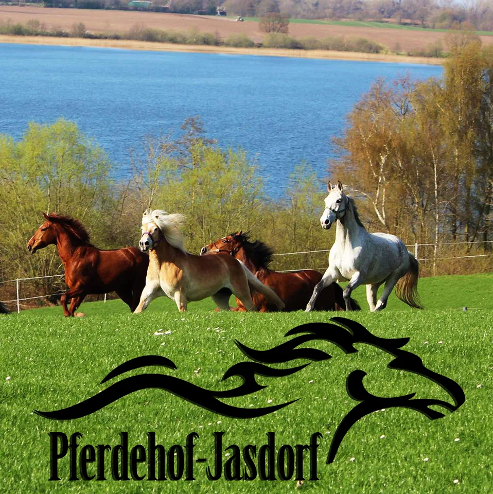 Pferdehof Jasdorf - photo 1