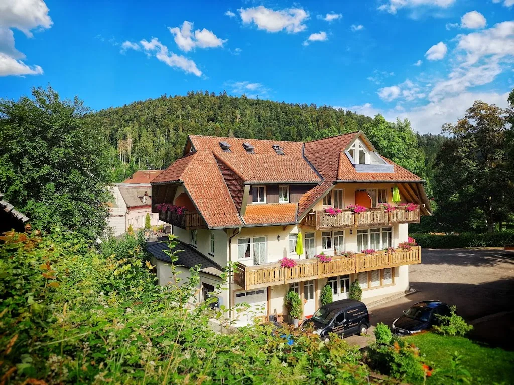 Zimmermann Kutschbetrieb & Pferdepension - Foto 3
