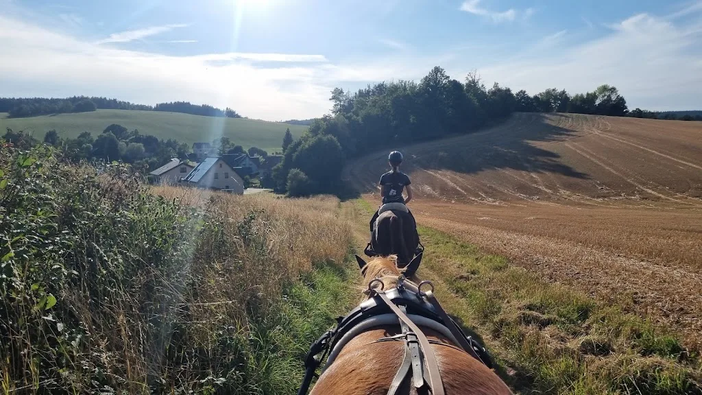 Pferdehof Scholz - photo 2