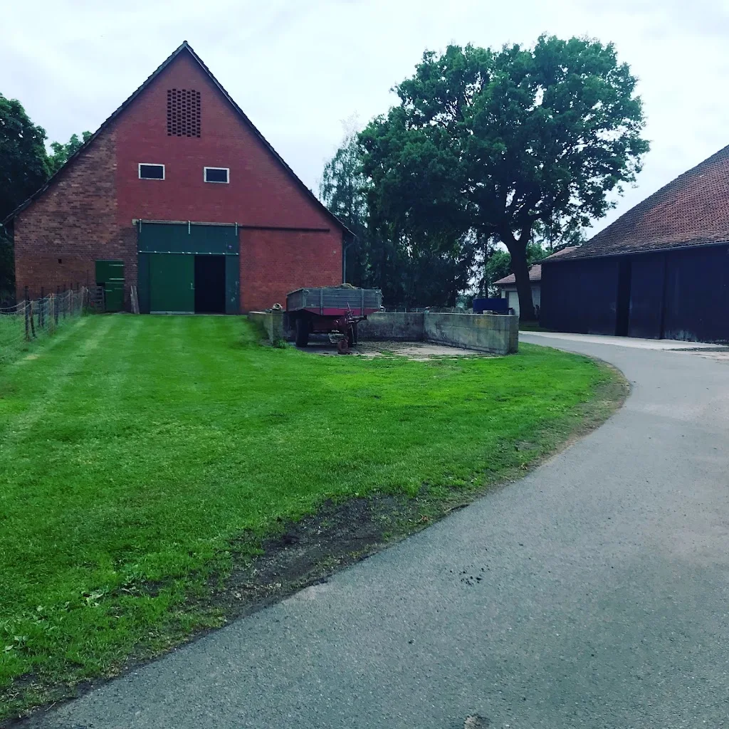Hof Mortfeld - Foto 2