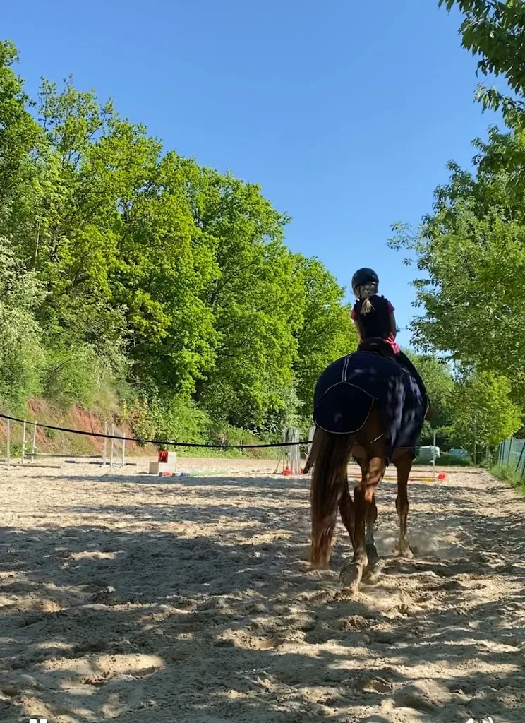 Reitanlage der Agrargenossenschaft Sünna - Foto 1