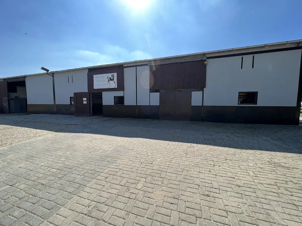 Reitanlage Selter - photo 2