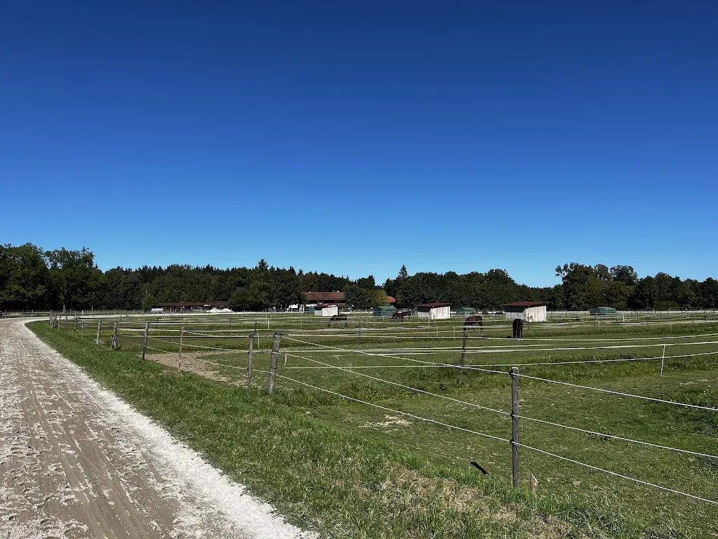 Reitstall Schütz, Lanzenhaar - Foto 3