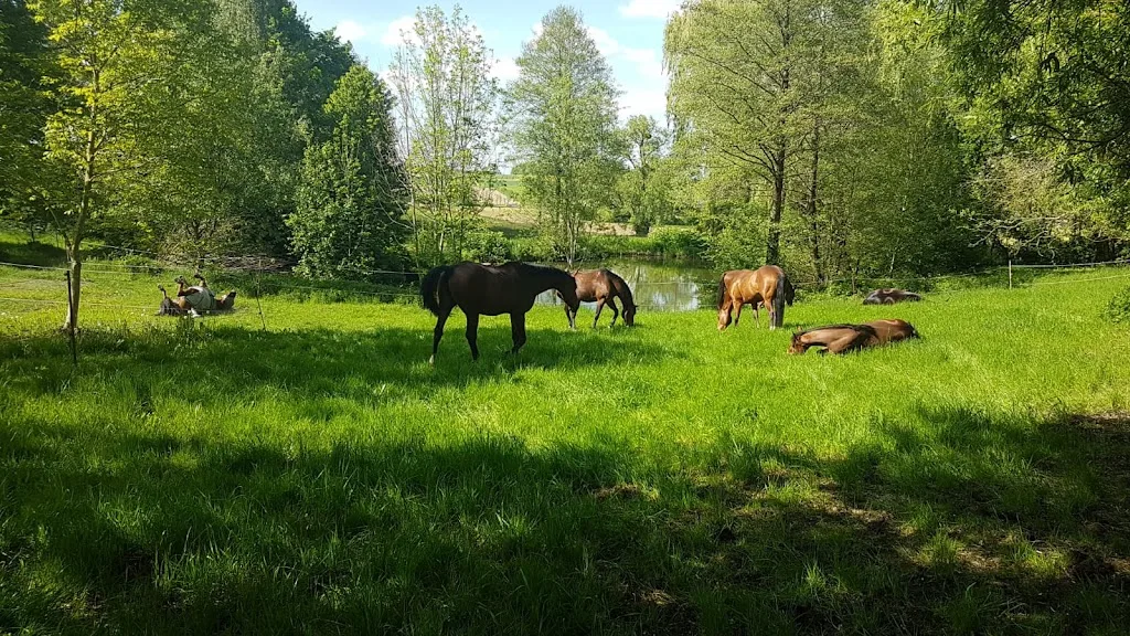 Zuchthof Galneder - Foto 1