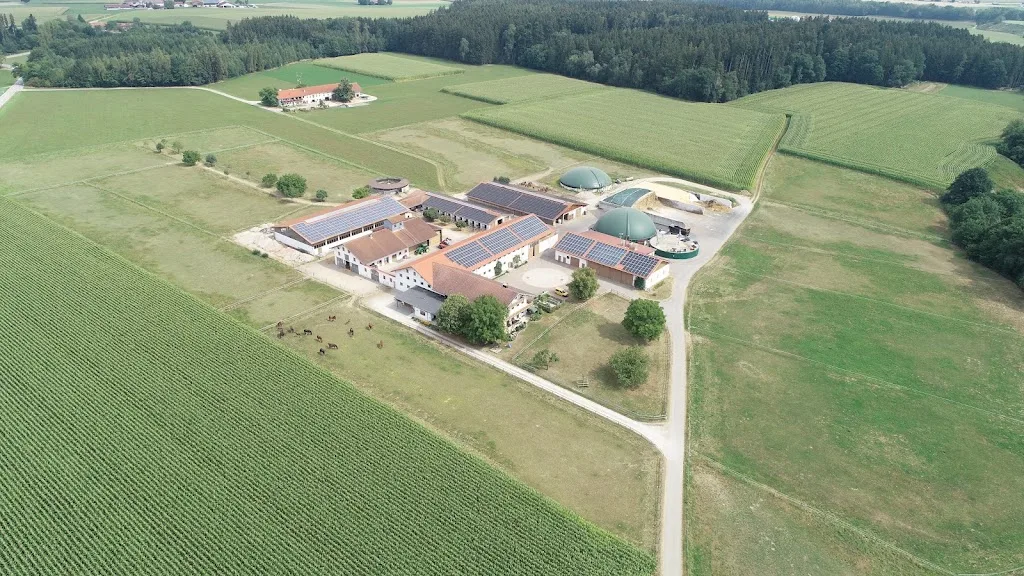 Zuchthof Galneder - Foto 3