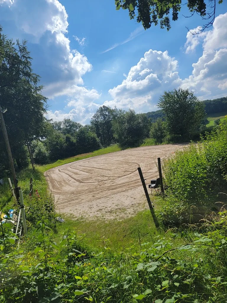 Pferdepension Lindenhof - Foto 2