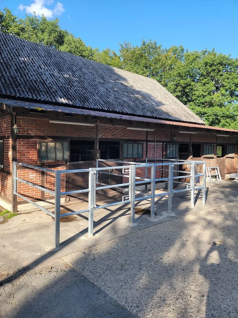Pferdepension Lindenhof - Foto 3