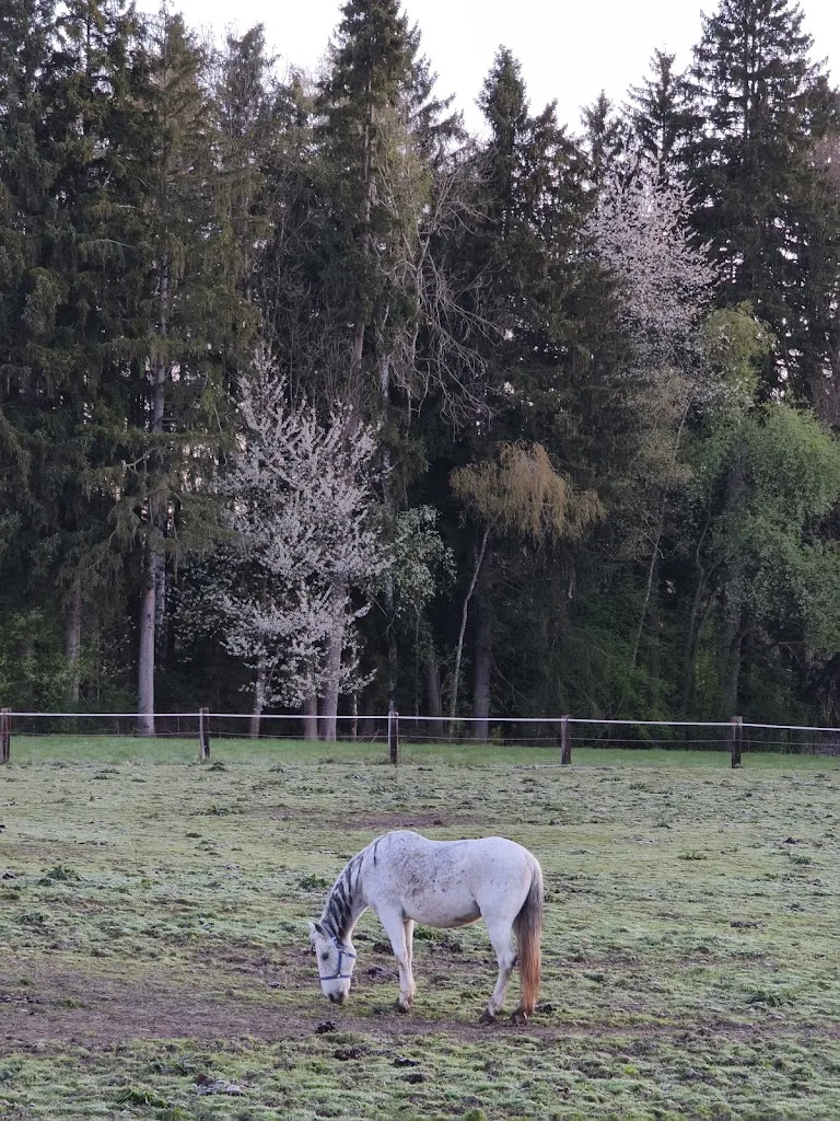 Reitanlage Poschanger - photo 2