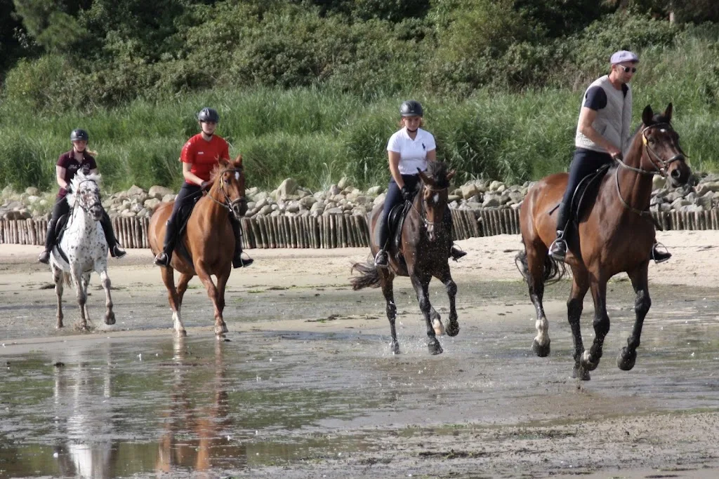 Reitstall Hoffmann - Strandritte Keitum - Foto 1