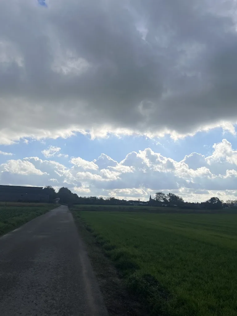 Gut Kandelhof - Sabine Weiter - Foto 3