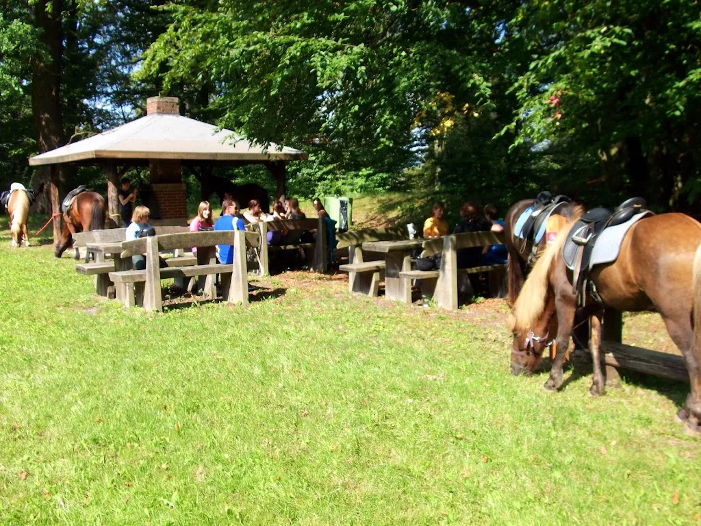 Landhotel-Ferienhof Schneider - Foto 2