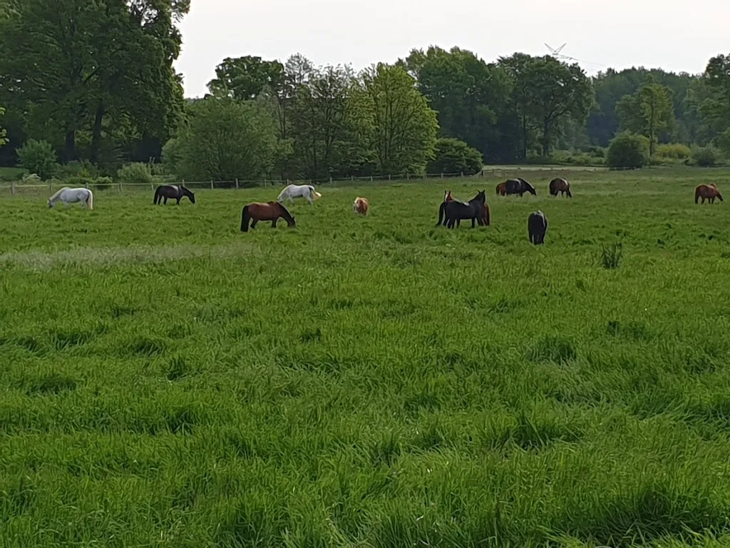 Weißbuchenhof - Foto 1